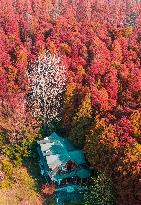 China Colorful Winter