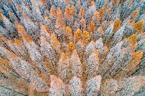 China Winter Weather