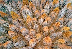 China Winter Weather