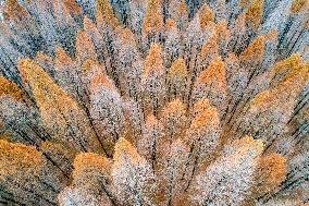 China Winter Weather