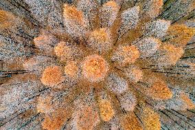 China Winter Weather