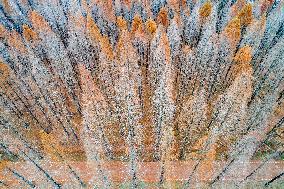 China Winter Weather