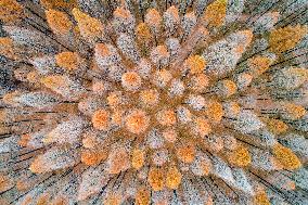 China Winter Weather