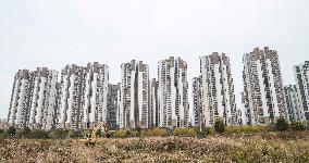 China Real Estate