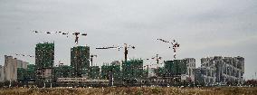 China Real Estate