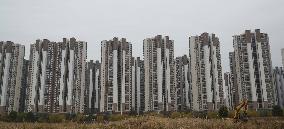 China Real Estate