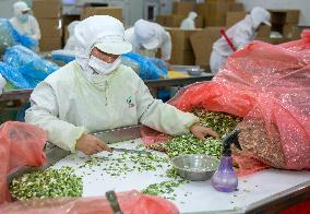 China Agricultural Harvest