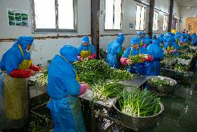 China Agricultural Harvest