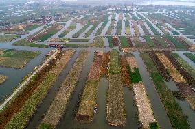 China Agricultural Harvest