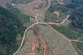 Winter Agricultural Products