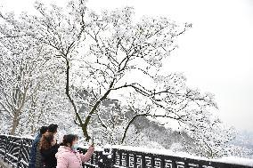 Snow-covered Zijin Mountain in Nanjing