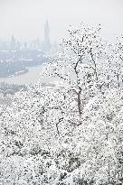 Snow-covered Zijin Mountain in Nanjing