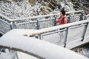 Snow-covered Zijin Mountain in Nanjing