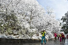 Snow-covered Zijin Mountain in Nanjing