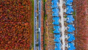 China Ecotourism Highway