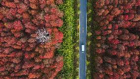 China Ecotourism Highway