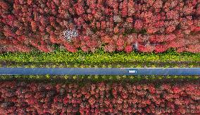 China Ecotourism Highway