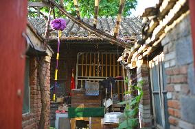 Beijing Hutong