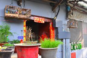 China Hutong Birdcage