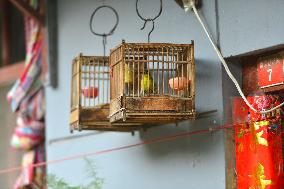 China Hutong Birdcage