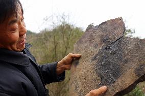 Fossil Excavation
