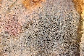 Fossil Excavation