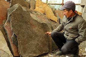 Fossil Excavation