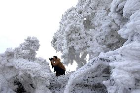 China Winter Rime Landscape