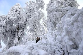 China Winter Rime Landscape