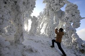 China Winter Rime Landscape