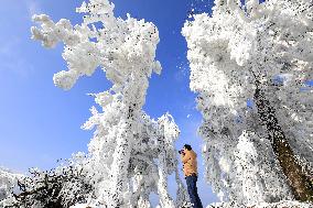 China Winter Rime Landscape