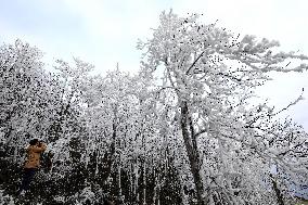 China Winter Rime Landscape