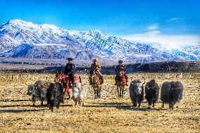 China Xinjiang Border Winter Pastures