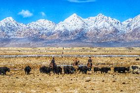 China Xinjiang Border Winter Pastures