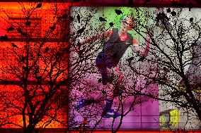 The Mysterious Crow Gathering Place in Beijing