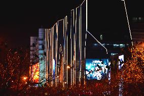 The Mysterious Crow Gathering Place in Beijing