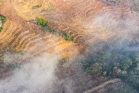 Aerial Photography Tea Garden New Base