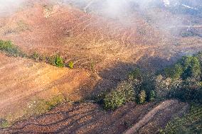 Aerial Photography Tea Garden New Base