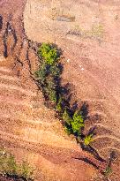 Aerial Photography Tea Garden New Base