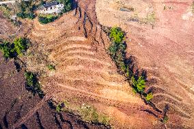 Aerial Photography Tea Garden New Base