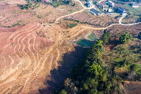 Aerial Photography Tea Garden New Base