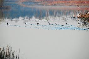 China Winter Natural Environment