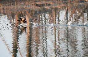 China Winter Natural Environment