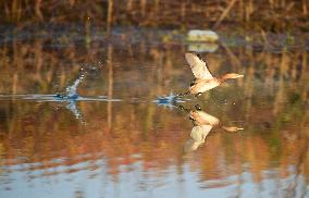 China Winter Natural Environment