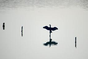 China Winter Natural Environment