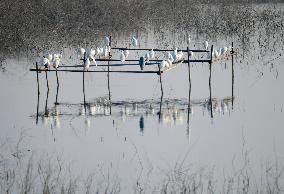 China Winter Natural Environment
