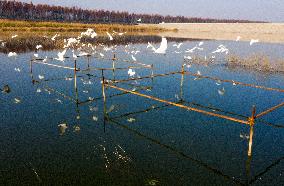 China Winter Natural Environment