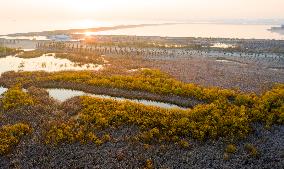 China Winter Natural Environment