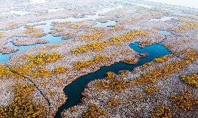 China Winter Natural Environment