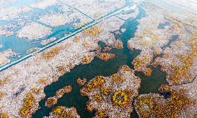 China Winter Natural Environment